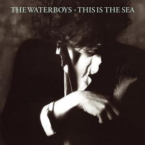 The Waterboys